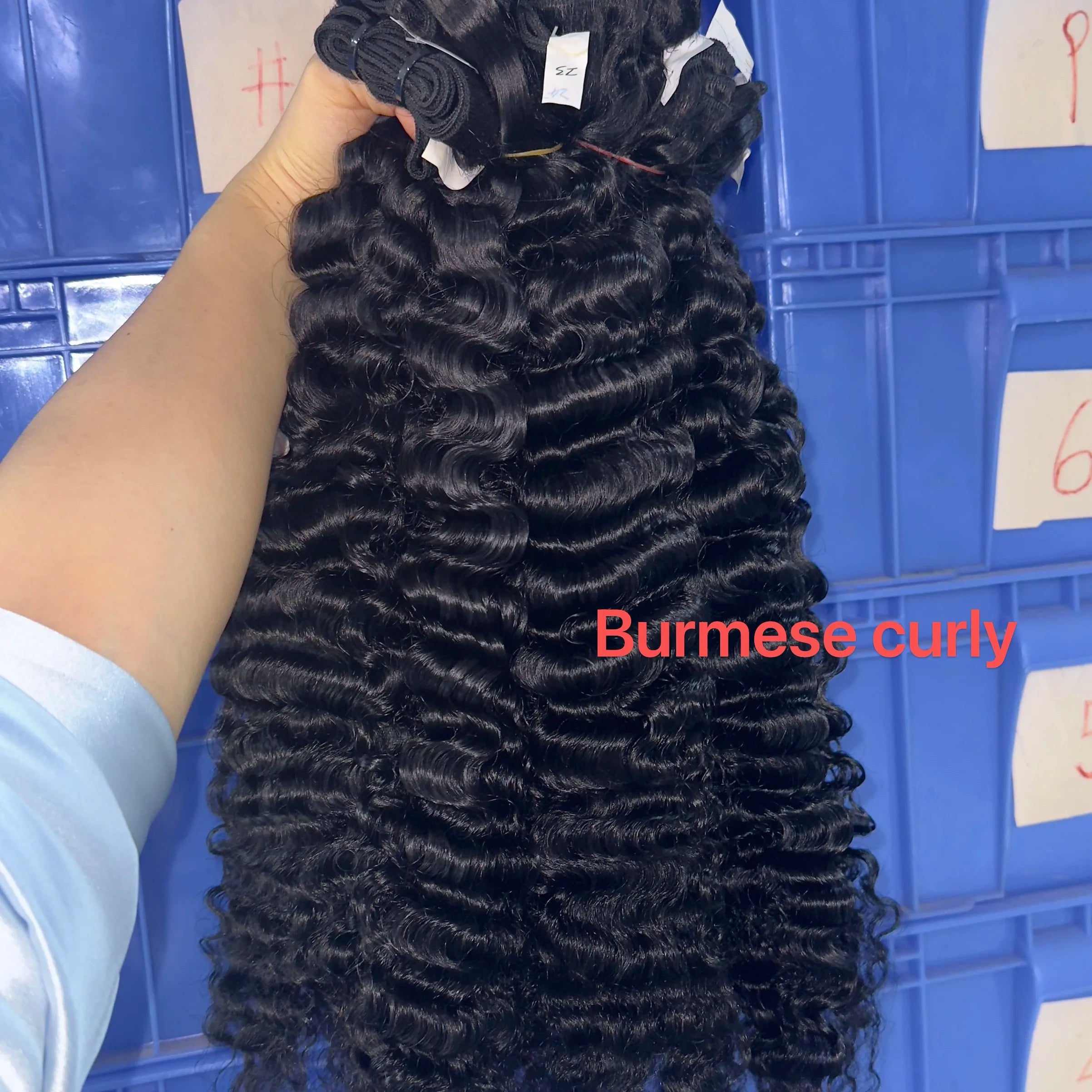 Wholesale 100% Raw Hair Cuticle Aligned Virgin Human Hair Burmese Curly Hair