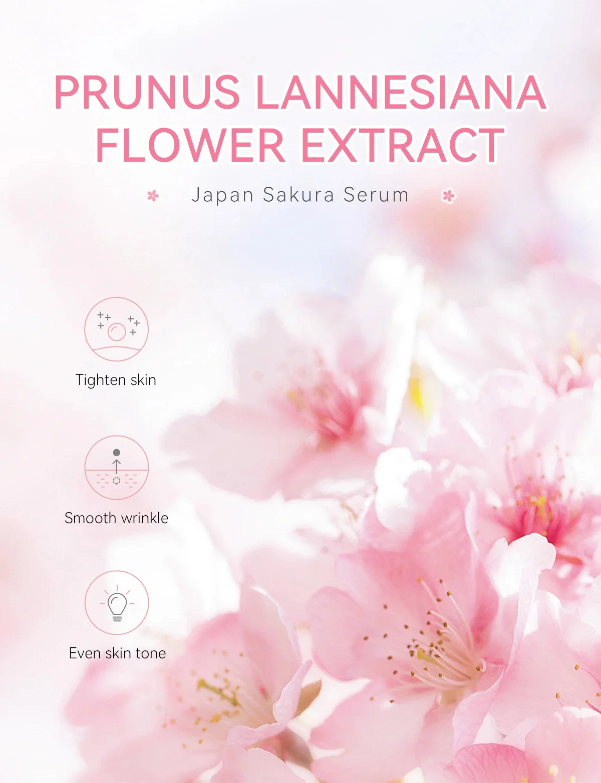Sakura Whitening Gesichts-Serum Anti-Aging Verblasst feine Linien Strafft Poren Verbessert Melaninpigment Stumpfer Feuchtigkeitsspender Hellt die Hautpflege auf